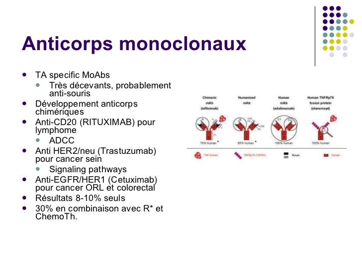 Immunotherapie Trastuzumab