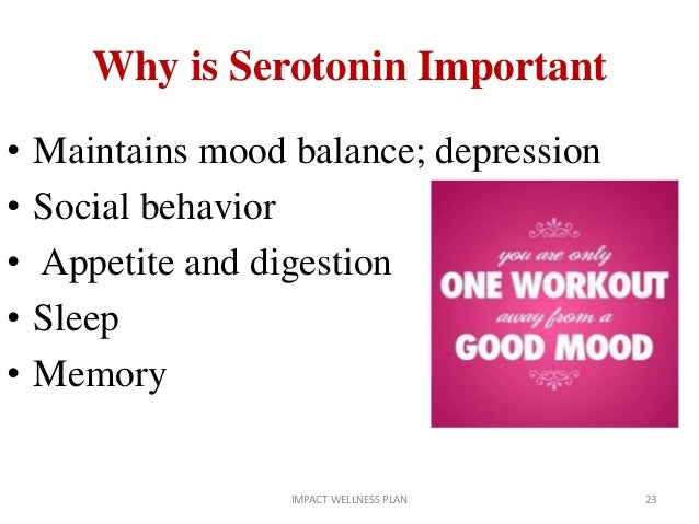 Brain And Behavior Wendy Suzuki Nyu Brain And Behavior Wendy Suzuki Nyu