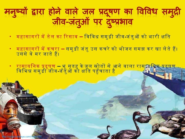 Impacts of water pollution hindi