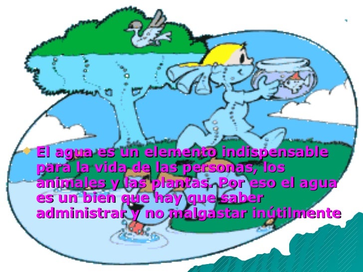 IMPORTANCIA DEL AGUA importancia del agua: