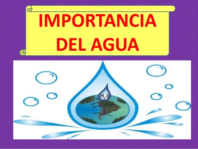 IMPORTANCIA DEL AGUA importancia del agua: