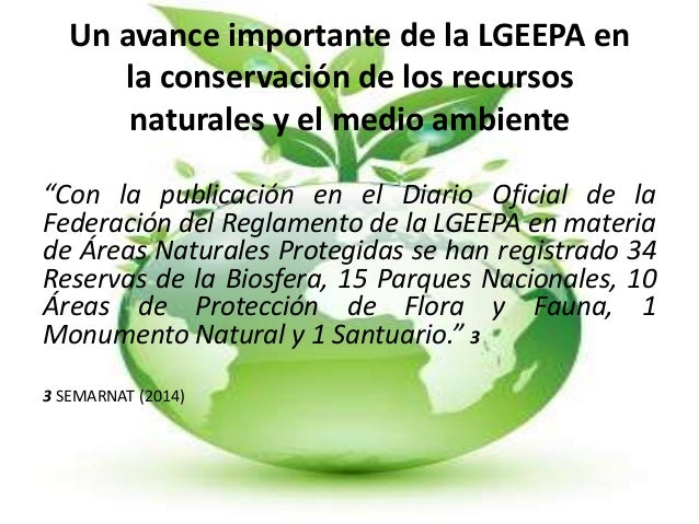 Importancia lgeepa