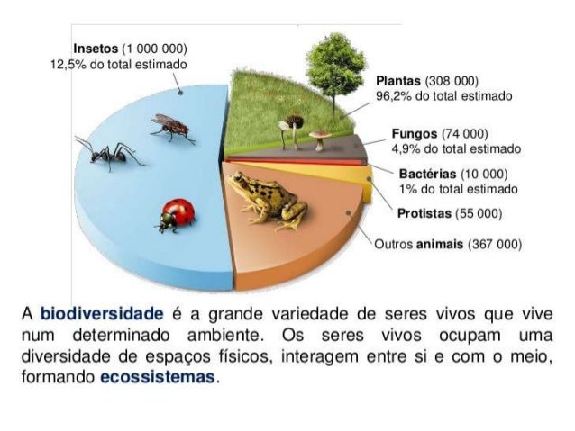 Importância da biodiversidade