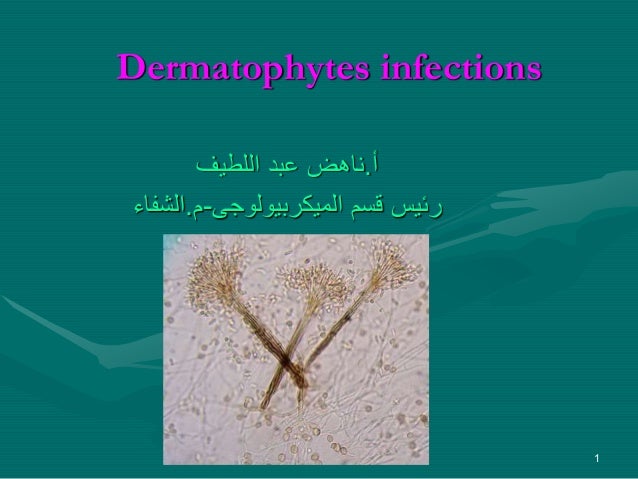 Dermatophyte infections in environmental contexts