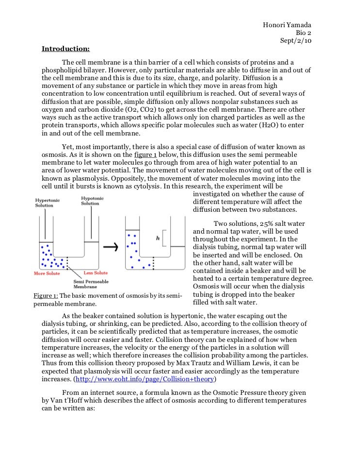 lab report on osmosis and diffusion/