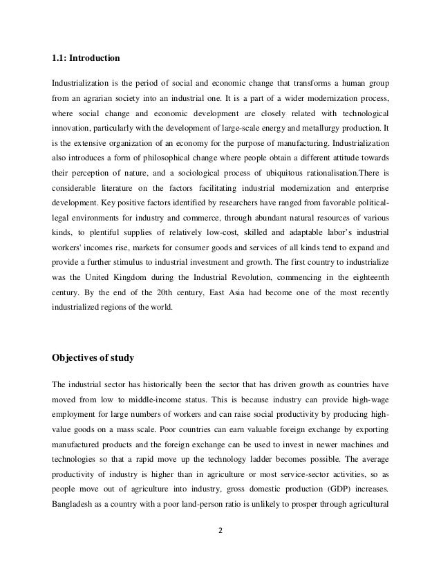 High Standard Of Living Essay