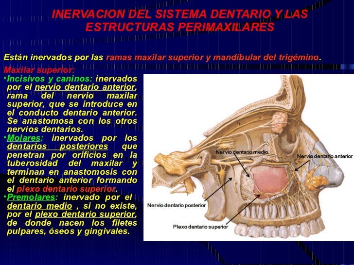 Como ayudar al dolor agudo en los riñones