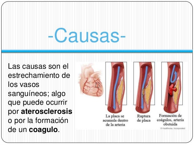 Como componer correctamente la ración de la alimentación para cada día para el adelgazamiento