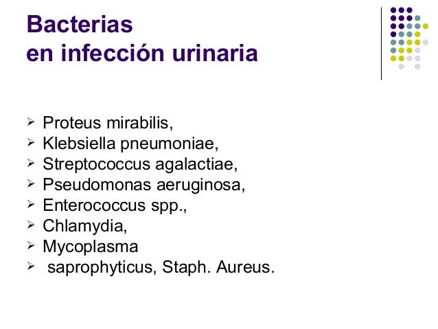 overnight express diflucan overnight express diflucan