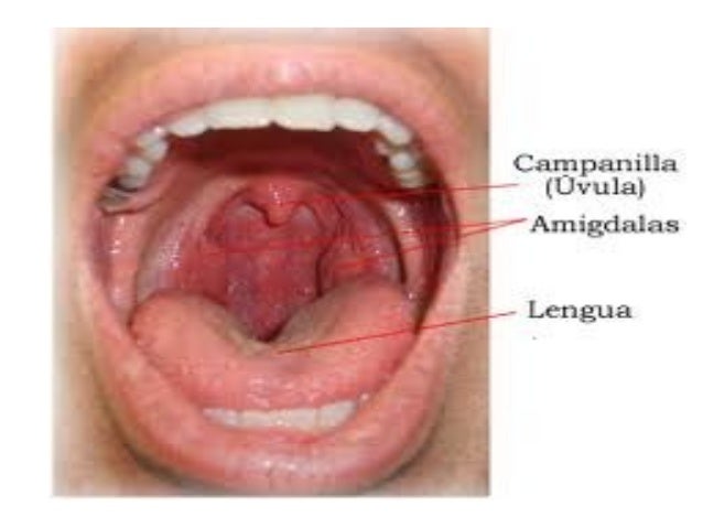 How Do I Treat Nasal Herpes? (with pictures) - wiseGEEK