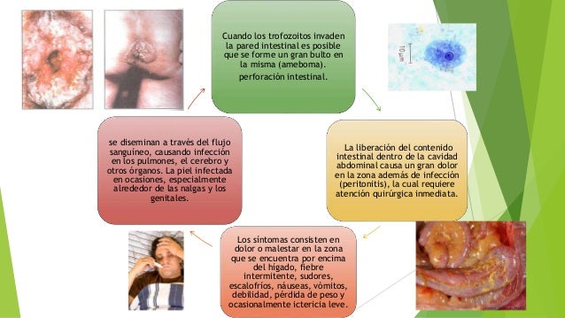 Por hora una alimentación para el adelgazamiento
