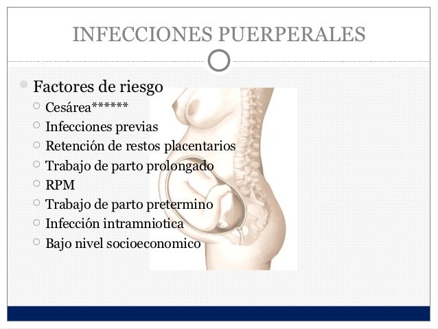 El dolor en los riñones por la noche al embarazo