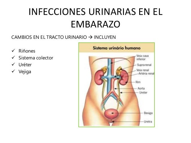 El blanqueamiento natural de la piel