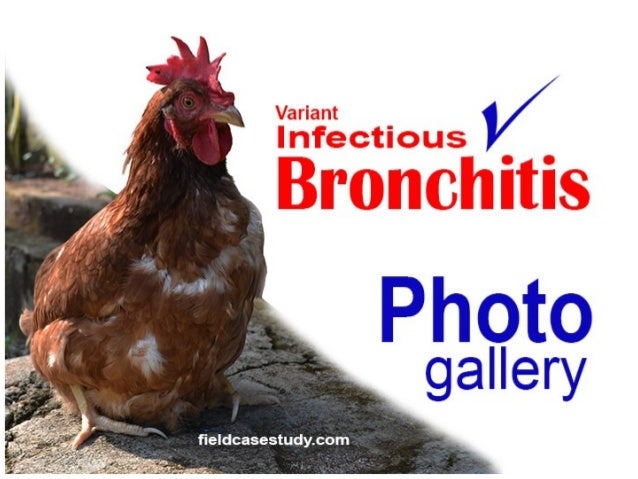 Keflex for bronchitis dosage bronchitis signs is it contagious