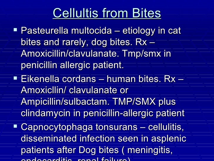 Infectious disease Archer USMLE Step 3
