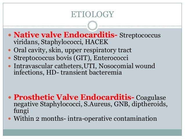 infective endocarditis caused by viridans streptococci What is the best practice in the diagnosis and treatment of infective endocarditis cause of bacterial endocarditis caused by other viridans streptococci. infective endocarditis caused by viridans streptococci What is the best practice in the diagnosis and treatment of infective endocarditis cause of bacterial endocarditis caused by other viridans streptococci.