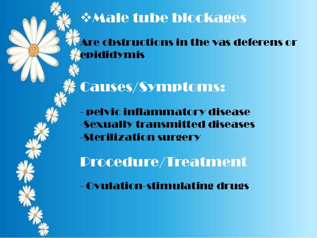 sexually transmitted diseases and female infertility sexually transmitted diseases and female infertility