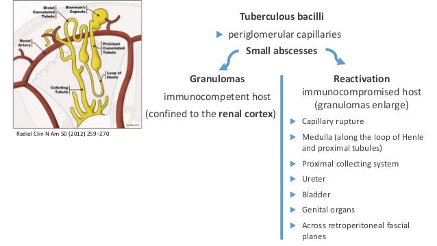 Faulkner health facility dialysis clinic fmc dialysis west covina ca
