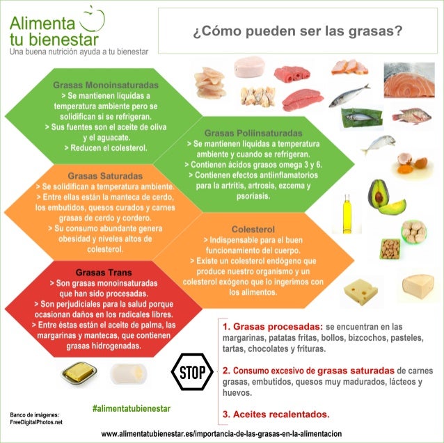 La bebida con el jengibre para el adelgazamiento con la canela y la miel