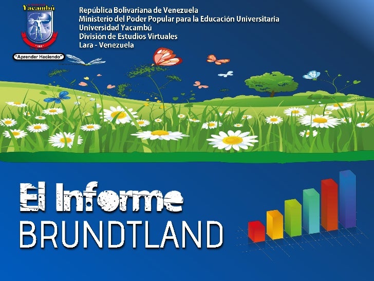 Informe Brundtland