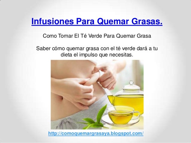 Infusiones para quemar grasas. Como tomar el té verde para Infusiones para quemar grasas. Como tomar el té verde para