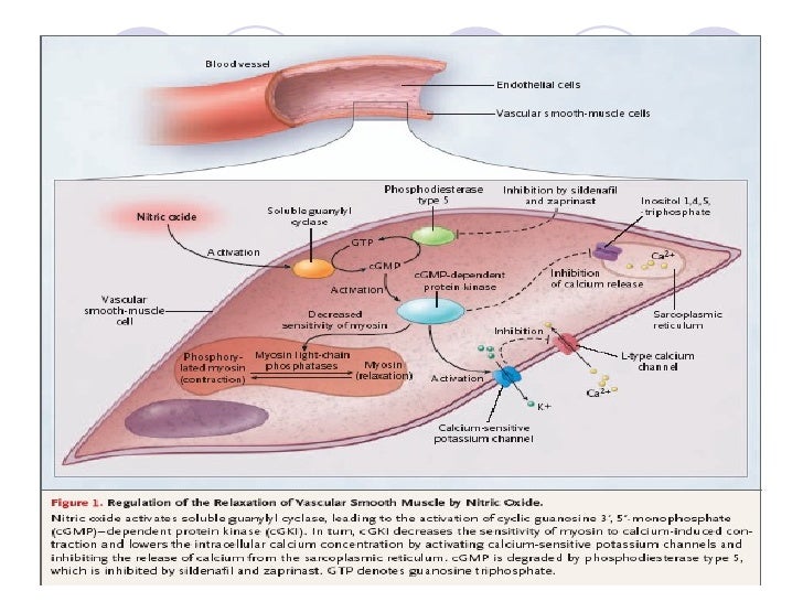 Inhaled nitric oxide therapy in adults