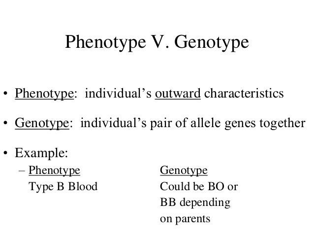 exle of genotype gallery for gt genotype and phenotype exles exle of genotype gallery for gt genotype and phenotype exles