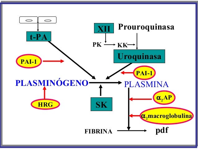 Inhibidores