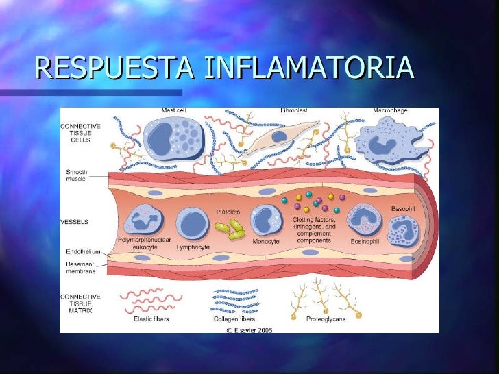 Injuria e inflamacion