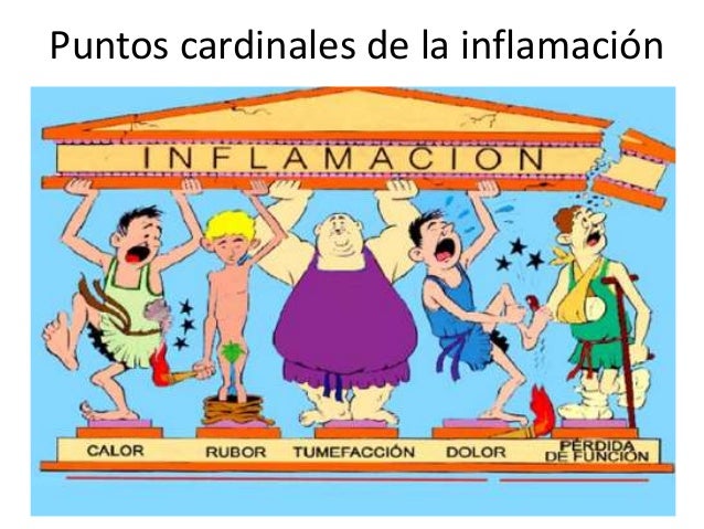 Inmunidad innata-o-inespecífica