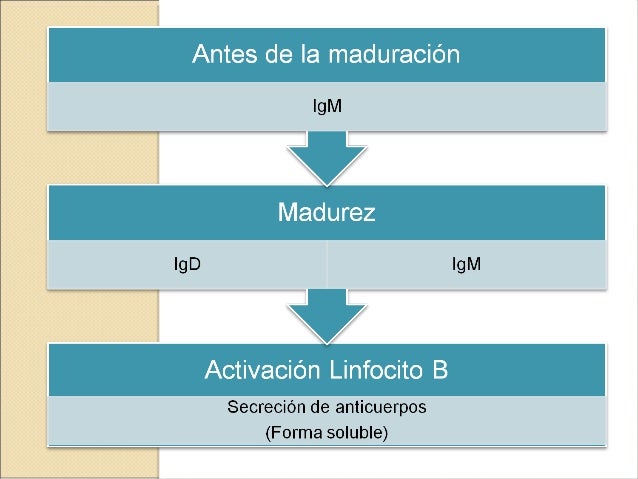 Es posible picar cuanto deksametazon a la eccema