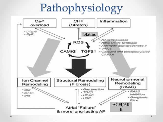 Forum on this topic: Pirfenidone, pirfenidone/ Forum on this topic: Pirfenidone, pirfenidone/