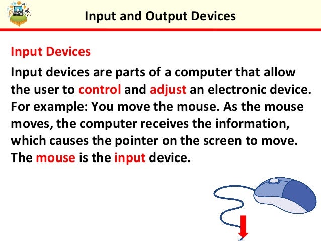 Input and Output Devices