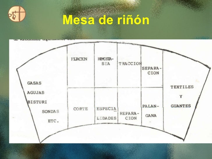Mesa De Riñon Como Se Divide