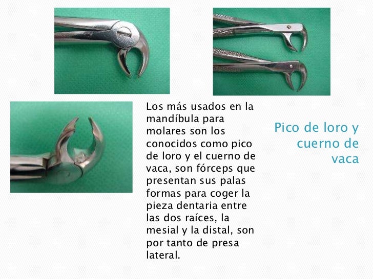 Instrumental y material para realizar exodoncias