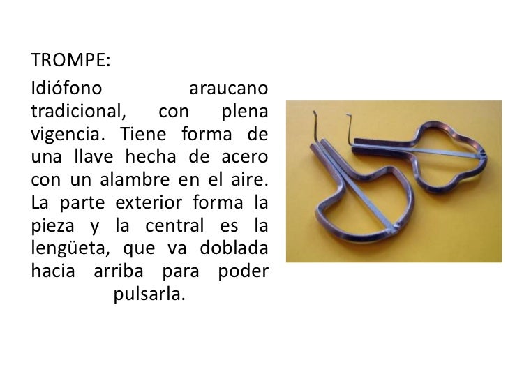 Instrumentos mapuches