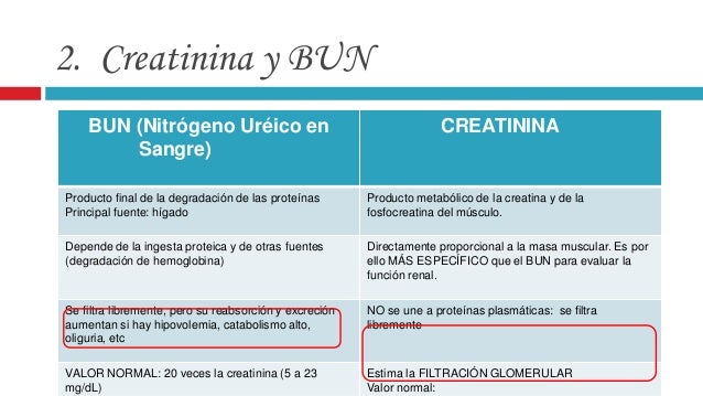 Insuficiencia renal aguda