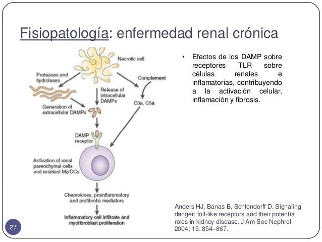 Insuficiencia renal crónica
