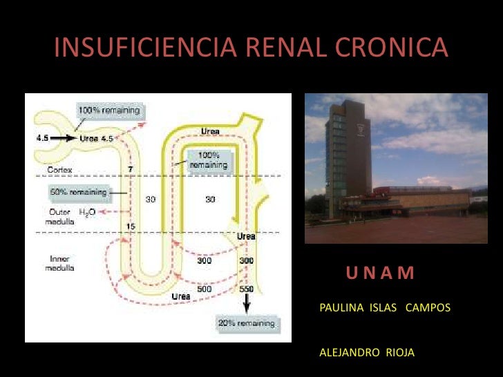 INSUFICIENCIA RENAL AGUDA CRONICA PEDIATRIA insuficiencia renal aguda cronica pediatria: