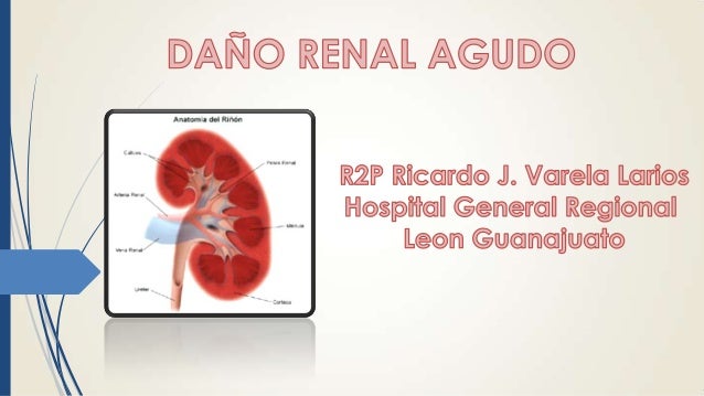 INSUFICIENCIA RENAL AGUDA CRONICA PEDIATRIA insuficiencia renal aguda cronica pediatria: