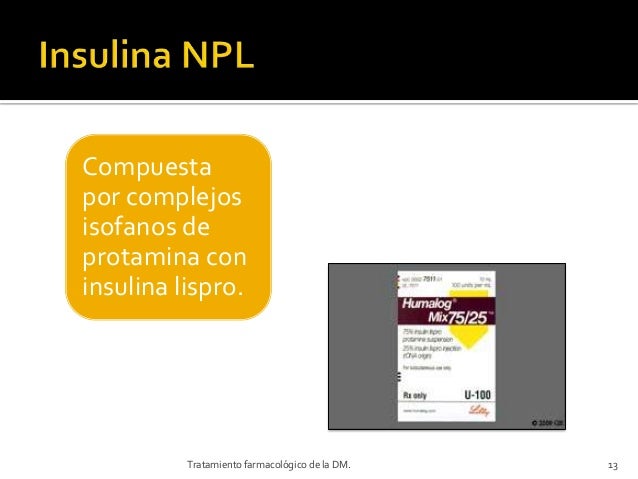 Insulina Insulina