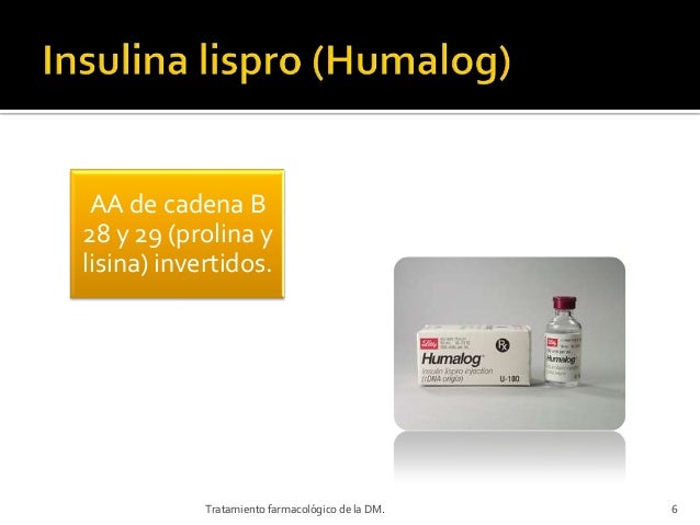 Insulina Insulina