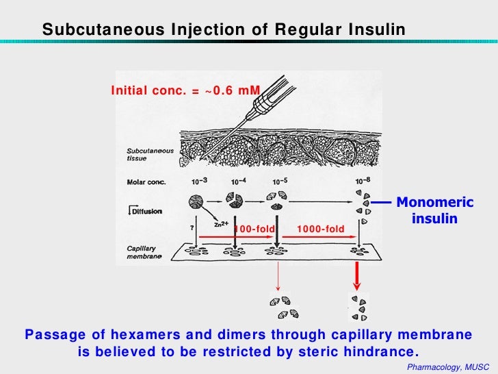 Insulin+and+Oral