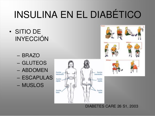 Insulina y dm Insulina y dm