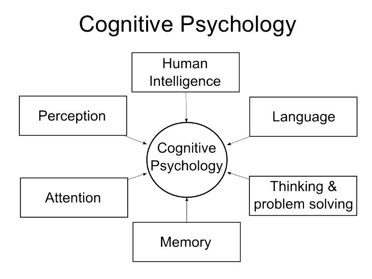 Psychology 102: Intelligence & intelligence assessment