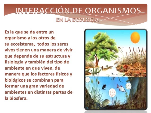 Interaccion de organismos en el ecosistema