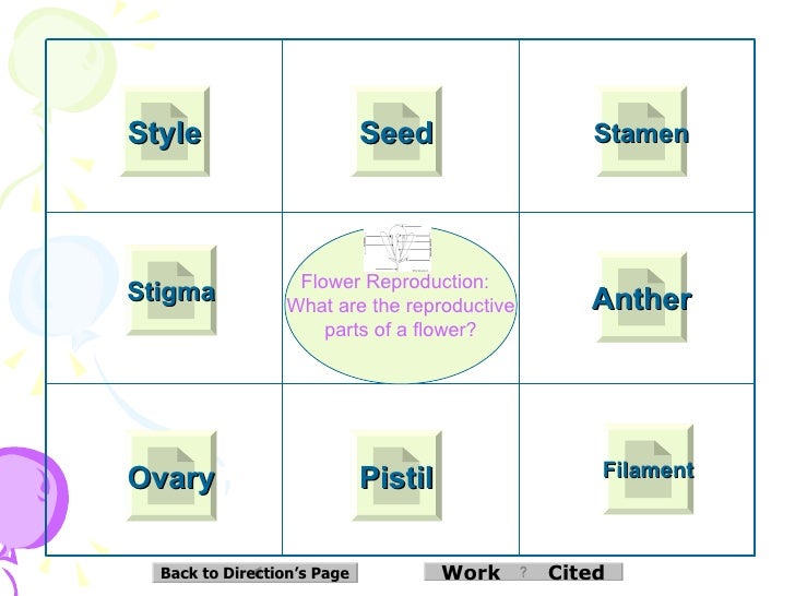 diagram of lotus flower interactive lotus diagram powerpoint 2 diagram of lotus flower interactive lotus diagram powerpoint 2