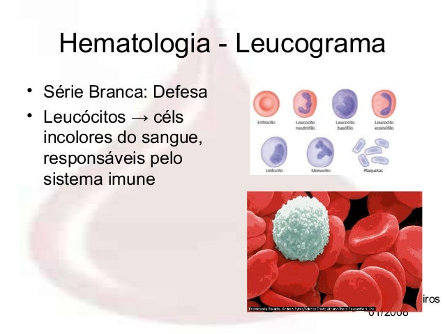 Exames para anemia