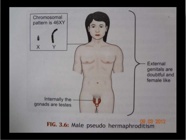Facial features and personality in love Shaved male genitels erection female nurse