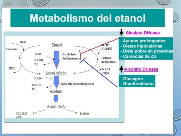 La conversación sobre el daño del alcoholismo y el tabaquismo